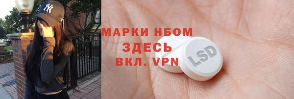 сатива Покачи