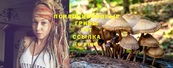 соль ск Абаза