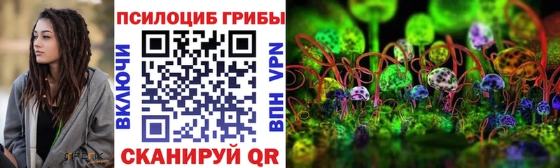 закладки  Лиски  Галлюциногенные грибы GOLDEN TEACHER 